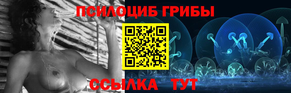 Псилоцибиновые грибы GOLDEN TEACHER Новоалександровск